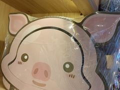 -瑞派宠物医院·24小时骨科·心脏·核磁(哈尔滨南岗店)