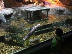 -暹罗海洋世界