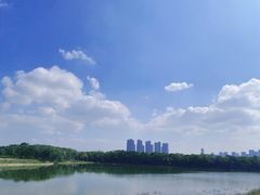 -盘龙城国家考古遗址公园