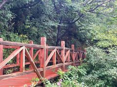 -大岭沟猕猴桃谷风景区