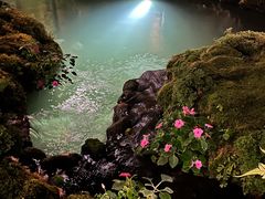 -Chom Cafe and Restaurant