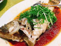 老虎斑-盛港湾海鲜食府(黄沙店)