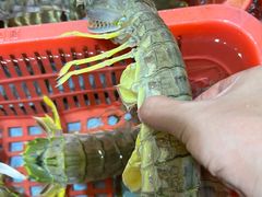 -渔民新村(番禺总店)