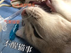 -咕噜咕噜宠物医院·CT·肿瘤科·骨科(前海院)