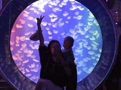 -成都浩海立方海洋公园