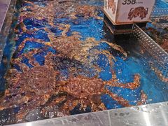 -盒马X会员店(王府井奥莱UP TOWN店)