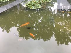 -纽斯桑拿会所(天山店)