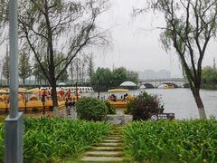 -洋湖国家湿地公园