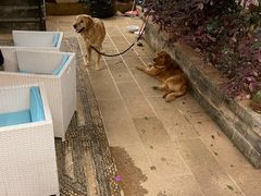 -浔岚云舍mist静谧观景美宿(丽江古城店)