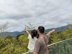 -陶祖圣境风景区