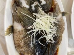 -光明邨大酒家(淮海路店)