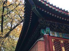 -香山公园-东宫门售票处