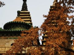 -北京石刻艺术博物馆(五塔寺)