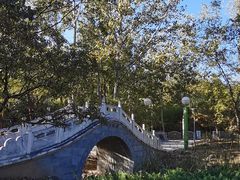 -滨河世纪广场公园