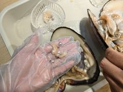 -大连圣亚海洋世界