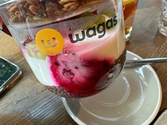 -Wagas沃歌斯(大学路店)