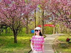 -波尔登森林公园