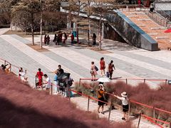 -牛岗山公园