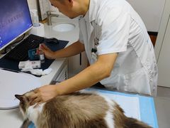 -派联宠物医院·24h·CT·异宠