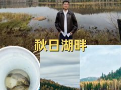 -汤旺河林海奇石景区