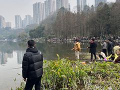 -重庆彩云湖湿地公园