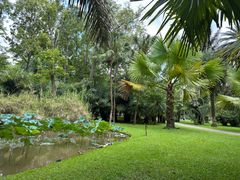 -中国科学院西双版纳热带植物园