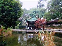 -九龙公园