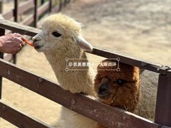 -盈香心动乐园