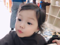 -合肥滨湖国家森林公园