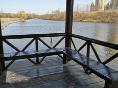 -前关湿地公园