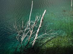 -叠溪松坪沟景区