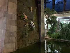 -瑞丰园庭院餐厅·白族传统家常菜