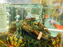 -有腥气私房菜·寻味顺德