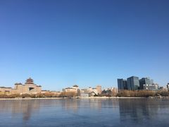 -莲花池公园