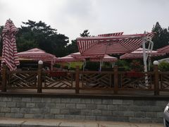 -棒棰岛宾馆景区