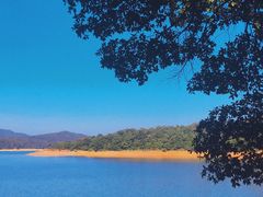 -广州市流溪河国家森林公园