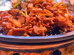 -北平盛世·新京菜·北京烤鸭(劲松·双井店)