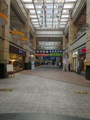 -ALNL清莲爱丽