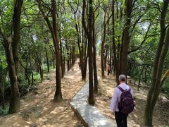 -火炉山森林公园
