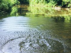 -北仑森林植物园