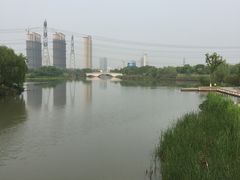 -九里河湿地公园
