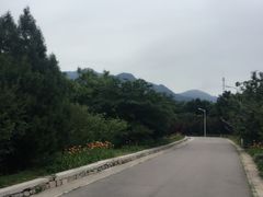 -北京鹫峰国家森林公园