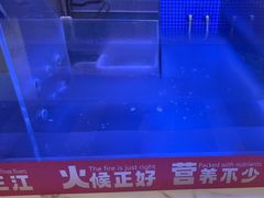 -三江源活鱼现烤(维多利摩尔城店)