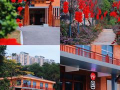-广西壮族自治区药用植物园