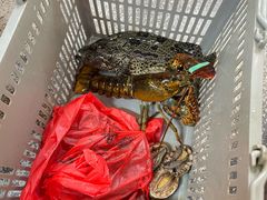 -外滩18号海鲜(三亚湾龙兴海鲜广场店)