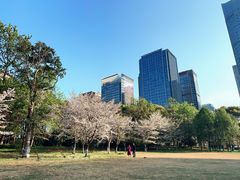 -城市阳台