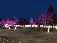 -轻井泽王子购物广场