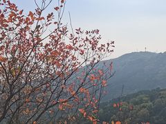 -香山公园