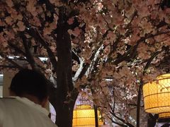 -绿茶餐厅(昌平悦荟店)