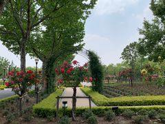 -上海山野camping·户外天幕烧烤·团建拓展营地